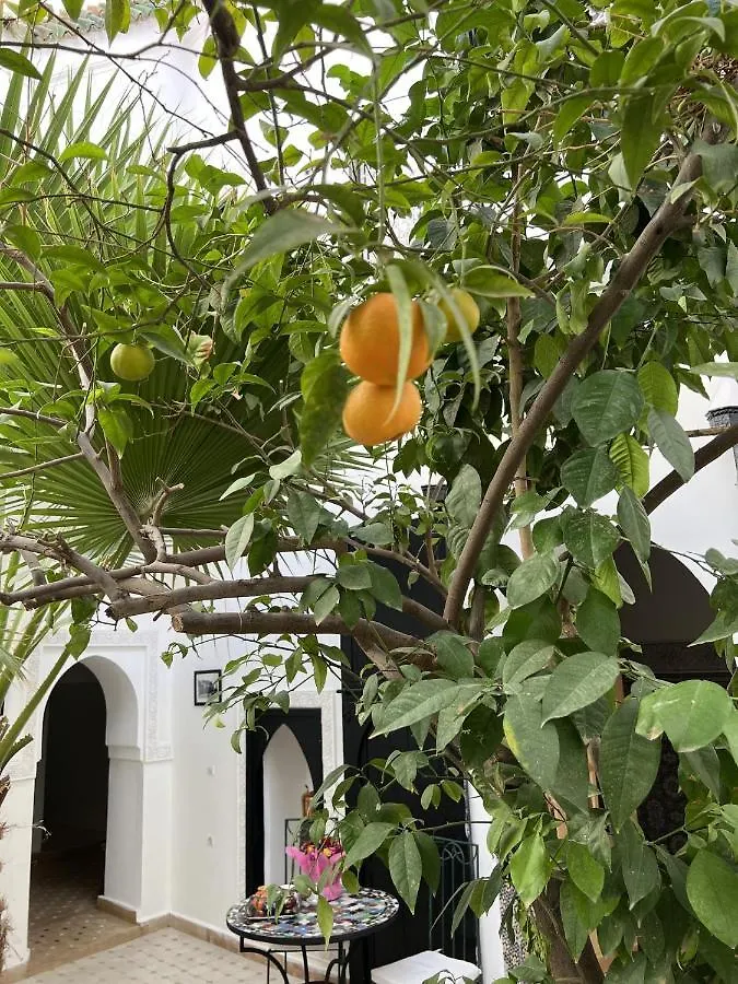 Guest house Riad 5 Generations Marrakesh